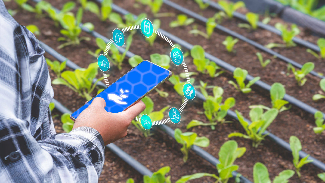 Irri Sys: The Future of Smart Irrigation